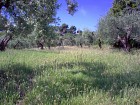 Vendita Terreno Agricolo in V a Francavilla al Mare