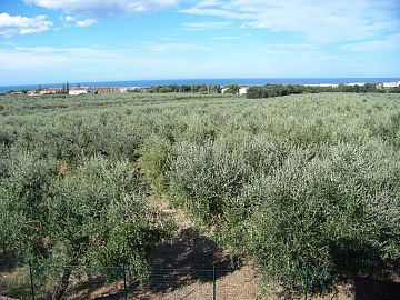 Villa in vendita a Vasto (CH) VIA TOBRUK 5 foto 10