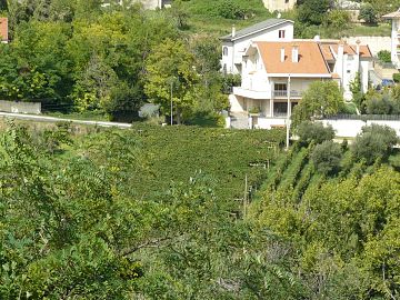 Terreno Edificabile Res. in vendita a Ripa Teatina (CH) Via Chieti foto 2