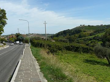 Terreno Edificabile Res. in vendita a Ripa Teatina (CH) Via Chieti foto 5