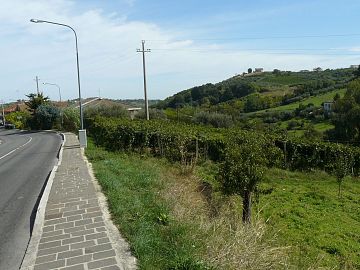 Terreno Edificabile Res. in vendita a Ripa Teatina (CH) Via Chieti foto 4