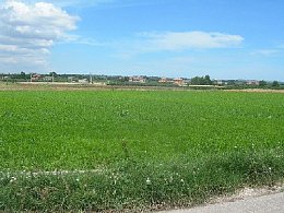 Vendita Terreno Edificabile Res. in V a Cepagatti