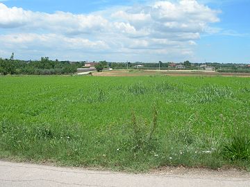 Terreno Edificabile Res. in vendita a Cepagatti (PE)  foto 2