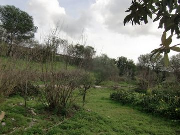 Casale o Rustico in vendita a Siracusa (SR)  foto 4