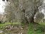 Casale o Rustico in vendita a Siracusa (SR)  foto 2