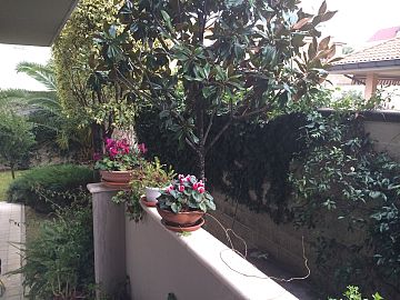 Appartamento in vendita a Pescara (PE)  foto 4
