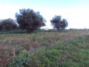 Casale o Rustico in vendita a Vasto (CH) VIA TOBRUK 8 foto 10