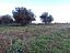 Casale o Rustico in vendita a Vasto (CH) VIA TOBRUK 8 foto 10