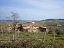 Casale o Rustico in vendita a Casalbordino (CH) CASALBORDINO LIDO foto 2