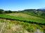 Terreno Agricolo in vendita a Ripa Teatina (CH) contrada santo stefano foto 1