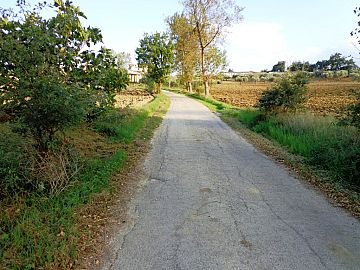 Casa indipendente in vendita a Manoppello (PE) contrada cupa foto 11