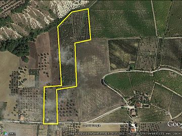 Terreno Agricolo in vendita a Bucchianico (CH) contrada iconicella foto 10