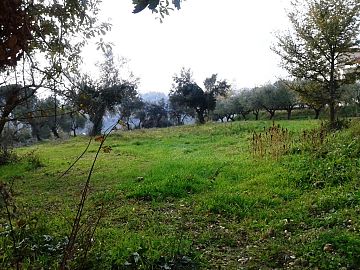 Terreno Agricolo in vendita a Casalincontrada (CH) via alento strada comunale foto 2