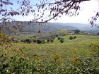 Vendita Terreno Agricolo in V a Bucchianico