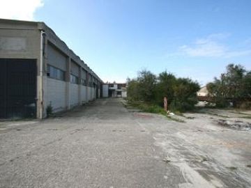 Capannone in affitto a  (PA)  foto 8