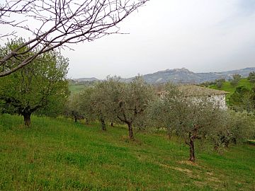 Terreno Edificabile Res. in vendita a Bucchianico (CH) colle sant'antonio foto 4