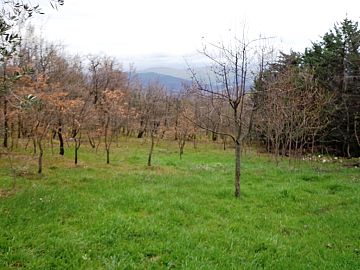Casale o Rustico in vendita a Fara San Martino (CH) contrada capo le macchie foto 11