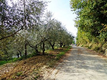 Terreno Agricolo in vendita a Chieti (CH)  foto 1