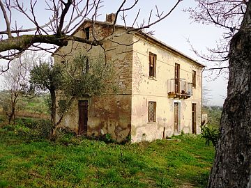 Casale o Rustico in vendita a Orsogna (CH) contrada colle pascucci foto 4