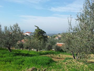 Terreno Edificabile Res. in vendita a Casalincontrada (CH) lungo la provinciale Chieti Casalicontra foto 3