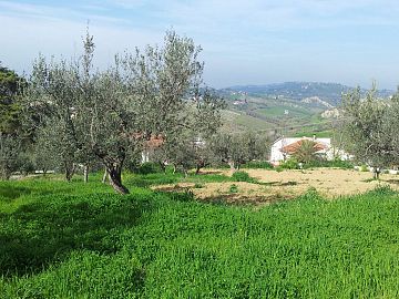 Terreno Edificabile Res. in vendita a Casalincontrada (CH) lungo la provinciale Chieti Casalicontra foto 1