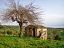Casale o Rustico in vendita a Orsogna (CH) contrada colle pascucci foto 9