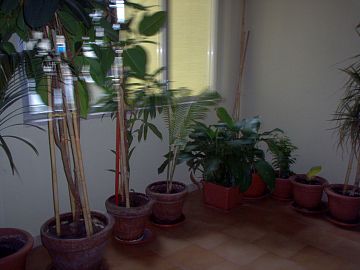 Appartamento in vendita a Francavilla al Mare (CH) Via Dei Marrucini  foto 3