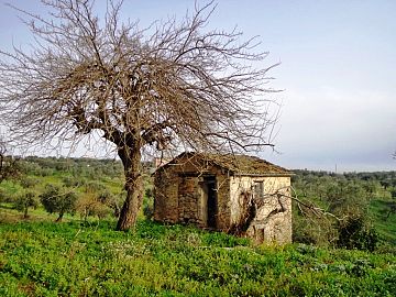 Casale o Rustico in vendita a Orsogna (CH) contrada colle pascucci foto 9