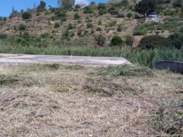 Terreno Agricolo in vendita a Campofelice di Roccella (PA) C/da Olivazza foto 7