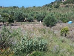 Vendita Terreno Agricolo in V a Campofelice di Roccella