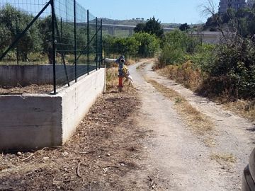 Terreno Agricolo in vendita a Campofelice di Roccella (PA) C/da Olivazza foto 8