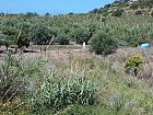 Vendita Terreno Agricolo in V a Campofelice di Roccella