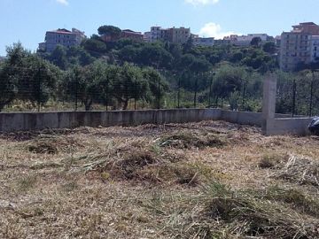 Terreno Agricolo in vendita a Campofelice di Roccella (PA) C/da Olivazza foto 6
