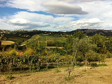 Terreno Agricolo in vendita a Bucchianico (CH) strada provinciale 14 foto 2