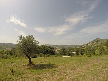 Terreno Agricolo in vendita a Bucchianico (CH) strada provinciale 14 foto 3