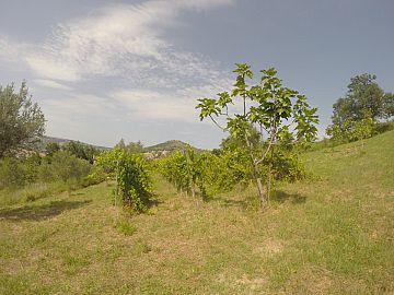 Terreno Agricolo in vendita a Bucchianico (CH) strada provinciale 14 foto 4