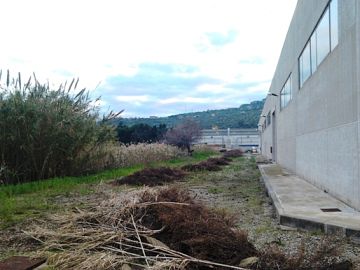 Capannone in vendita a Termini Imerese (PA) Contrada Canne Masche, agglomerato indus foto 5