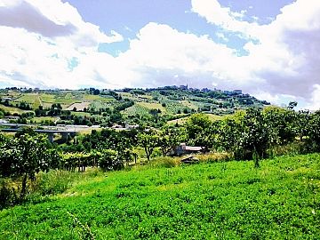 Terreno Agricolo in vendita a Bucchianico (CH) c.da campo di roma foto 5