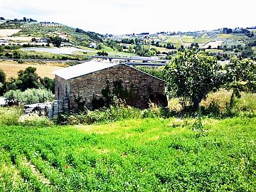 Terreno Agricolo in vendita a Bucchianico (CH) c.da campo di roma foto 4