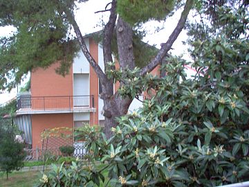Casa indipendente in vendita a Francavilla al Mare (CH) Via Del Convento  foto 7