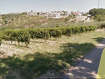 Terreno Agricolo in vendita a Vasto (CH) Sant'Antonio Abate foto 2