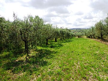 Casale o Rustico in vendita a Casalincontrada (CH) via colle casale foto 10