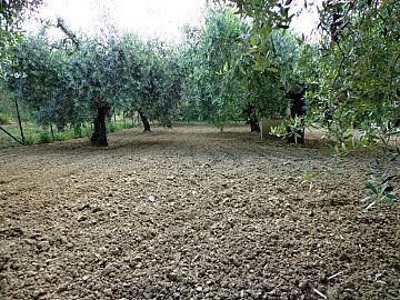 Casale o Rustico in vendita a Casalincontrada (CH) via colle casale foto 2