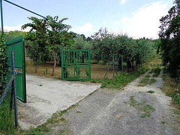 Casale o Rustico in vendita a Casalincontrada (CH) via colle casale foto 5