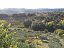 Terreno Edificabile Res. in vendita a Torrevecchia Teatina (CH) via vaschiola foto 4