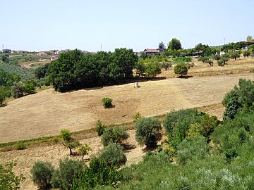Terreno Edificabile Res. in vendita a Torrevecchia Teatina (CH) via vaschiola foto 7