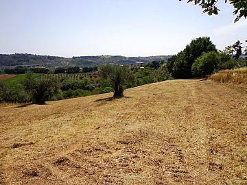 Terreno Edificabile Res. in vendita a Torrevecchia Teatina (CH) via vaschiola foto 5