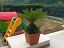 Appartamento in vendita a Vasto (CH) via cardone foto 7