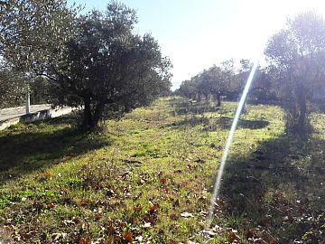 Terreno Edificabile Res. in vendita a Pianella (PE) strada provinciale 83 foto 2