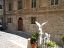 Appartamento in vendita a San Buono (CH)  foto 3